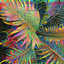 Colorful Ferns