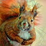 Inquisitive Red Squirrel