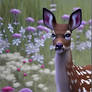 Fawn in the Flowers