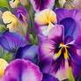 Pansies