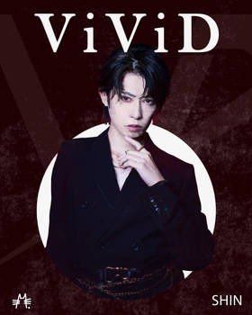 ViViD-SHIN
