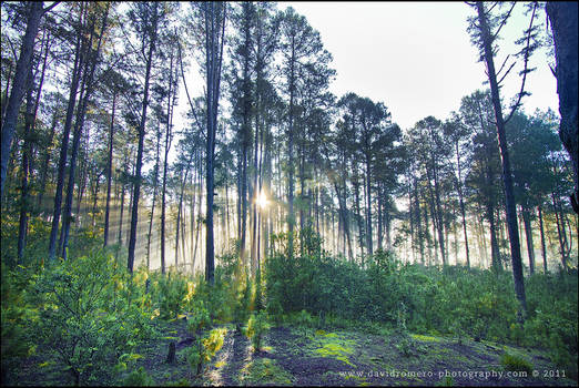 El Rosario - Santa Elena 01