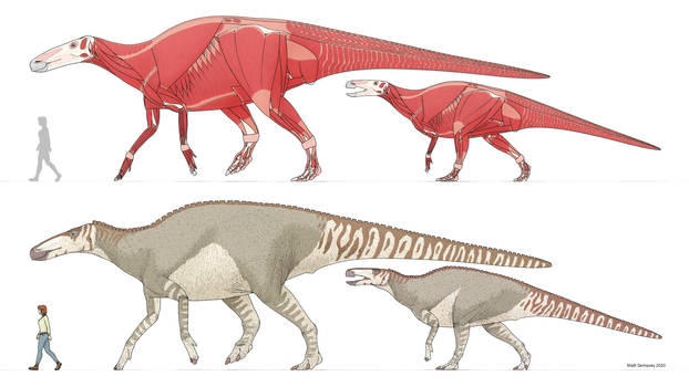 Anatomically Correct Raptor Explore the Best Anatosaurus Art | DeviantArt