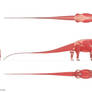 Diplodocus muscle anatomy study