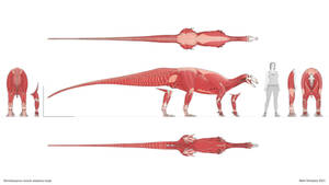 Tenontosaurus muscle anatomy study