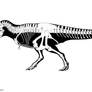 Tyrannosaurus skeletal reconstruction