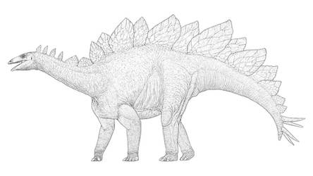 Stegosaurus Lines
