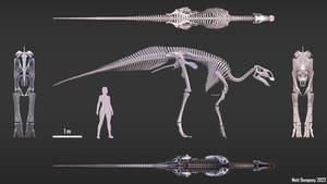 Brachylophosaurus 3D skeletal reconstruction