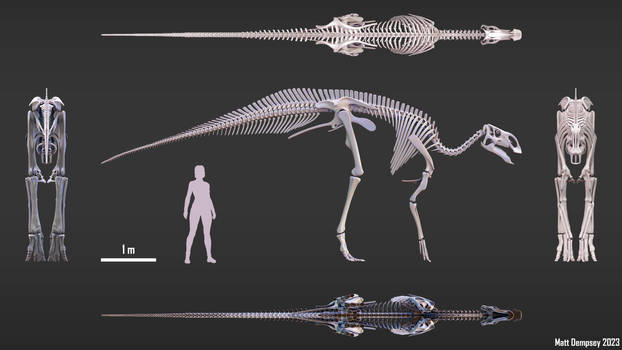 Brachylophosaurus 3D skeletal reconstruction