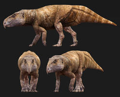 Ajkaceratops - a ceratopsian after all!