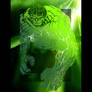 Hulk by Green II n Choat n Me