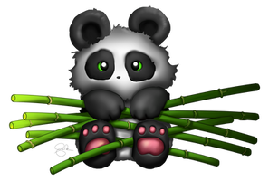 Panda Bamboo