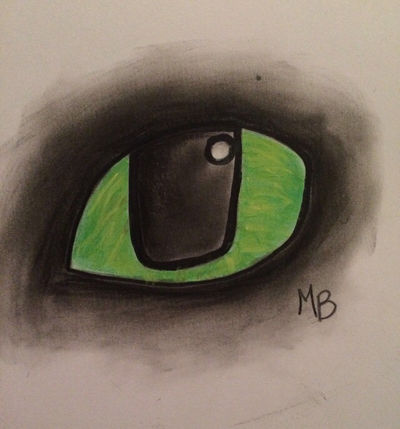 Toothless HTTYD Eye by Marley23Barton on DeviantArt