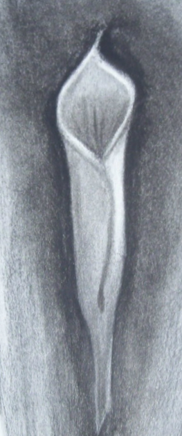 Charcoal 12