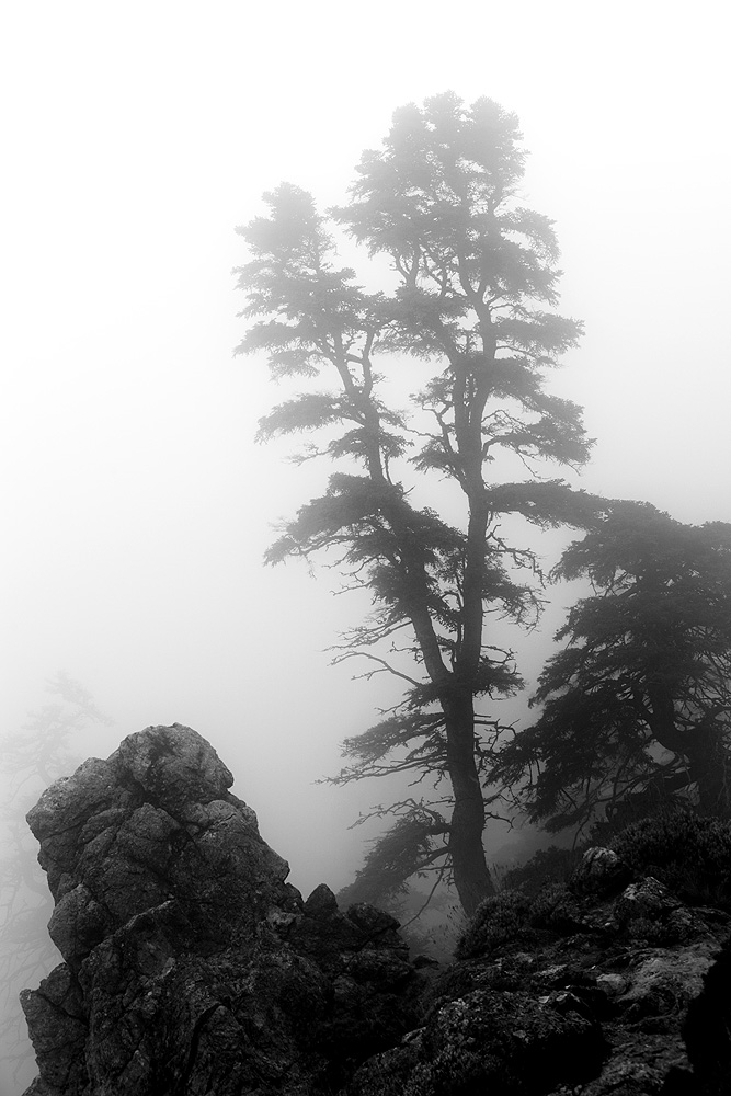 Sierra de las Nieves 1