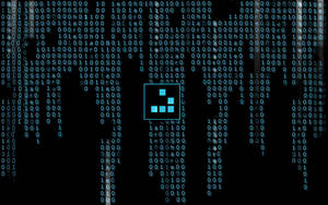 Bioshare Bin Code Hack Wallpaper