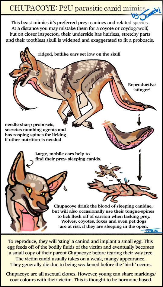 Chupacoye Species Ref: P2U species and bases!