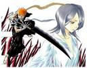 Bleach Picture