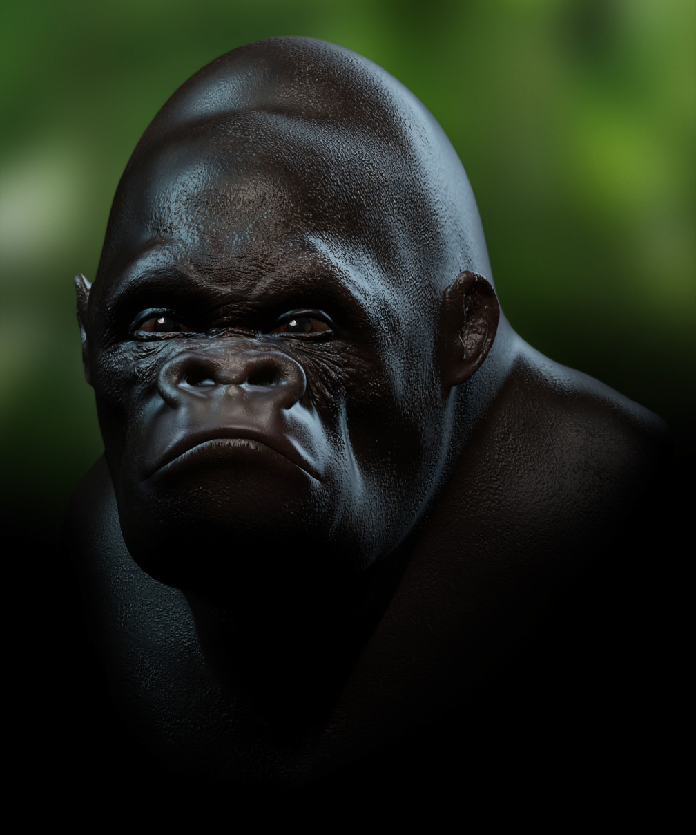 Gorilla '