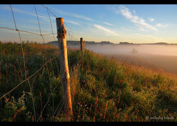 Sunrise in the fields II