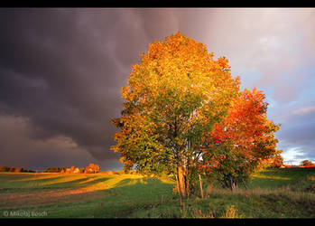 Autumn in Warmia