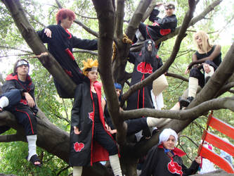 The Akatsuki