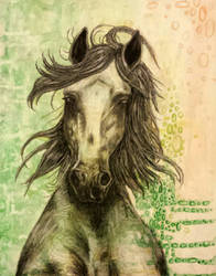 Horse 1[1]