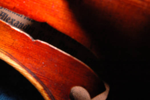 Peek inside the violin