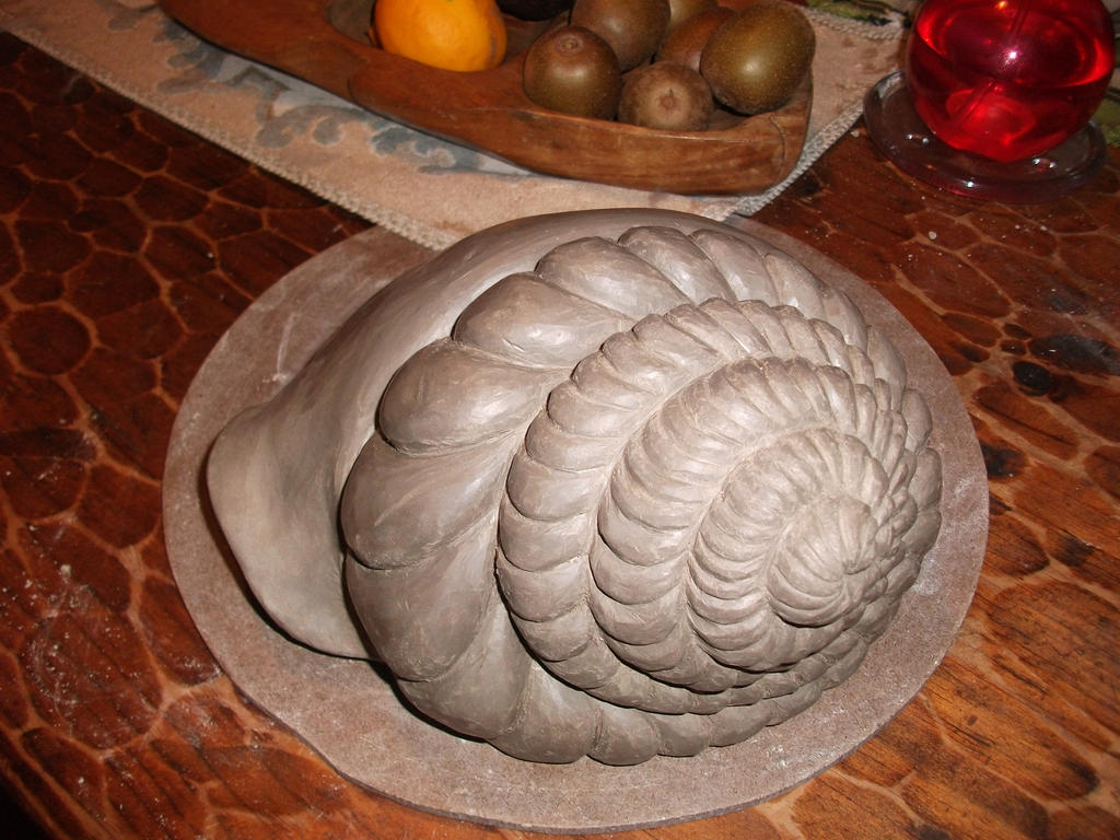 Clay Shell by Pixery on DeviantArt