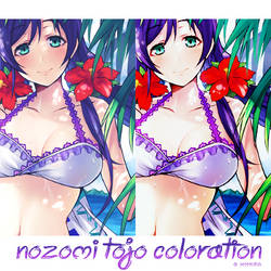 Nozomi Tojo - Colors vertical