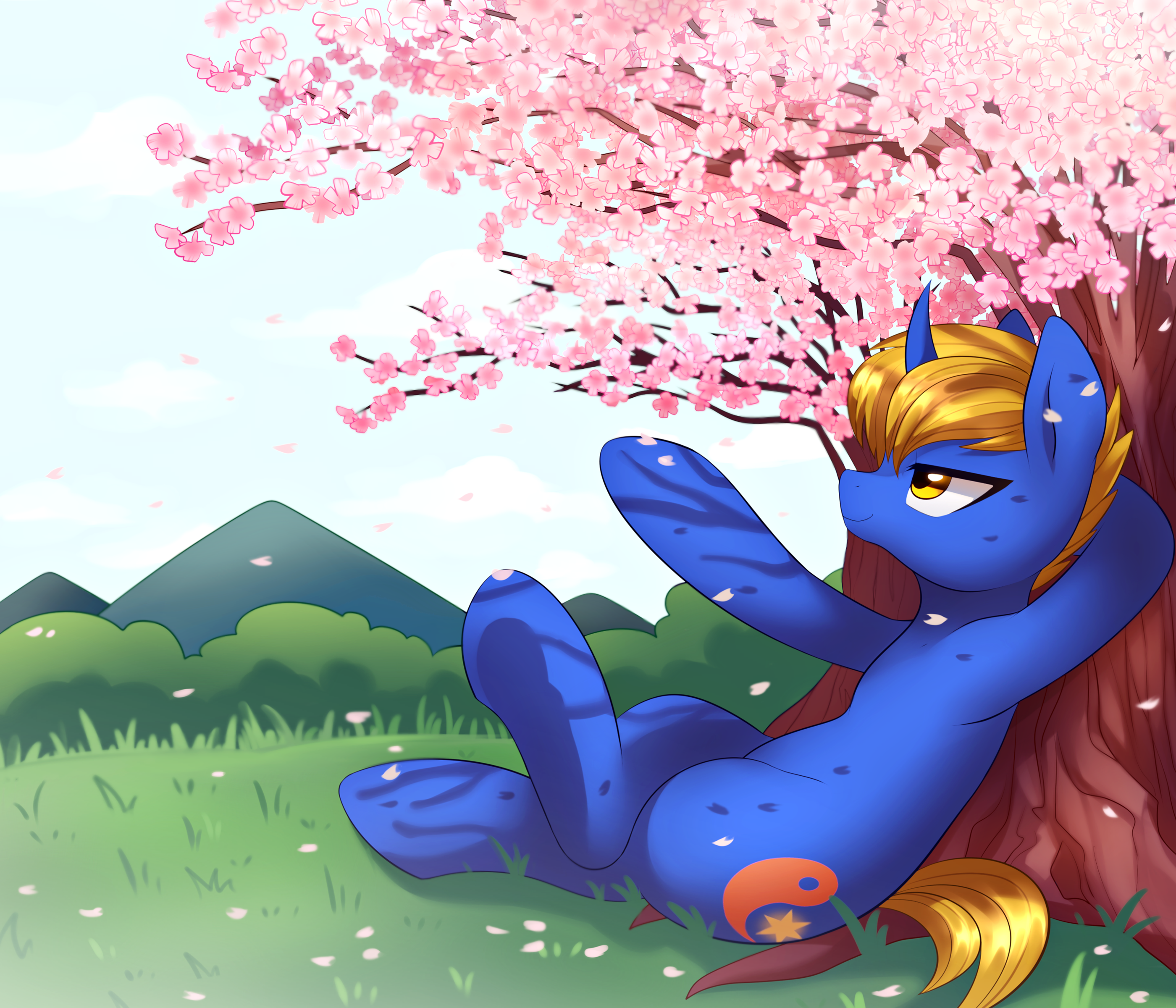 Commission 26 : Spring