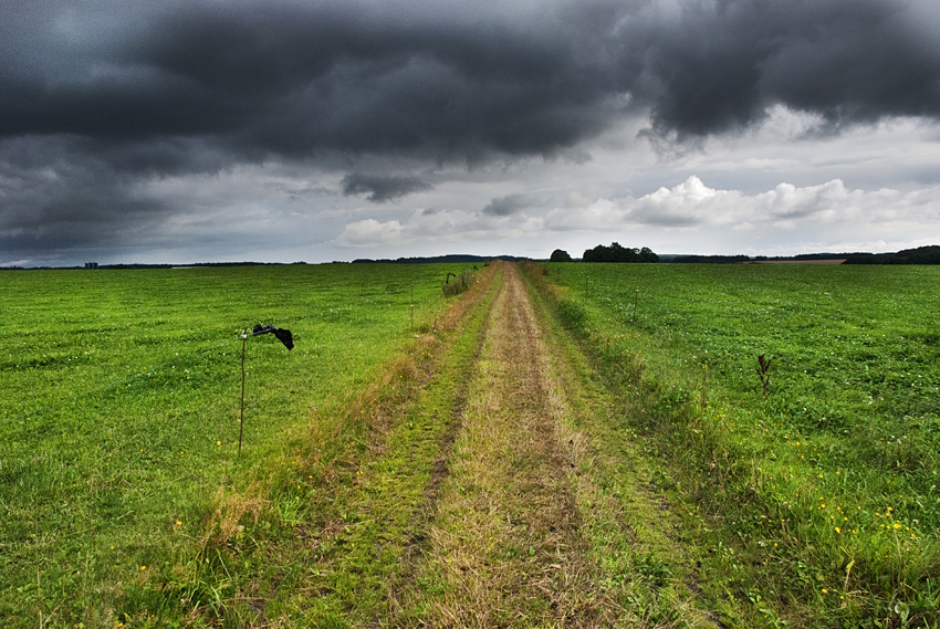 country road