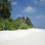 Maldivian Beach