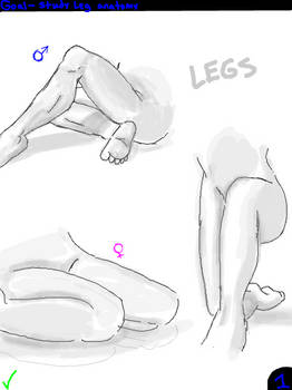 Leg Study