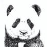 Panda Sketch