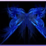 Blue Butterfly