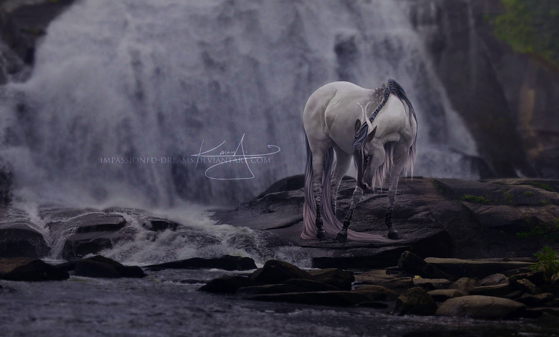 C: Wish the Night Away by impassioned-dreams