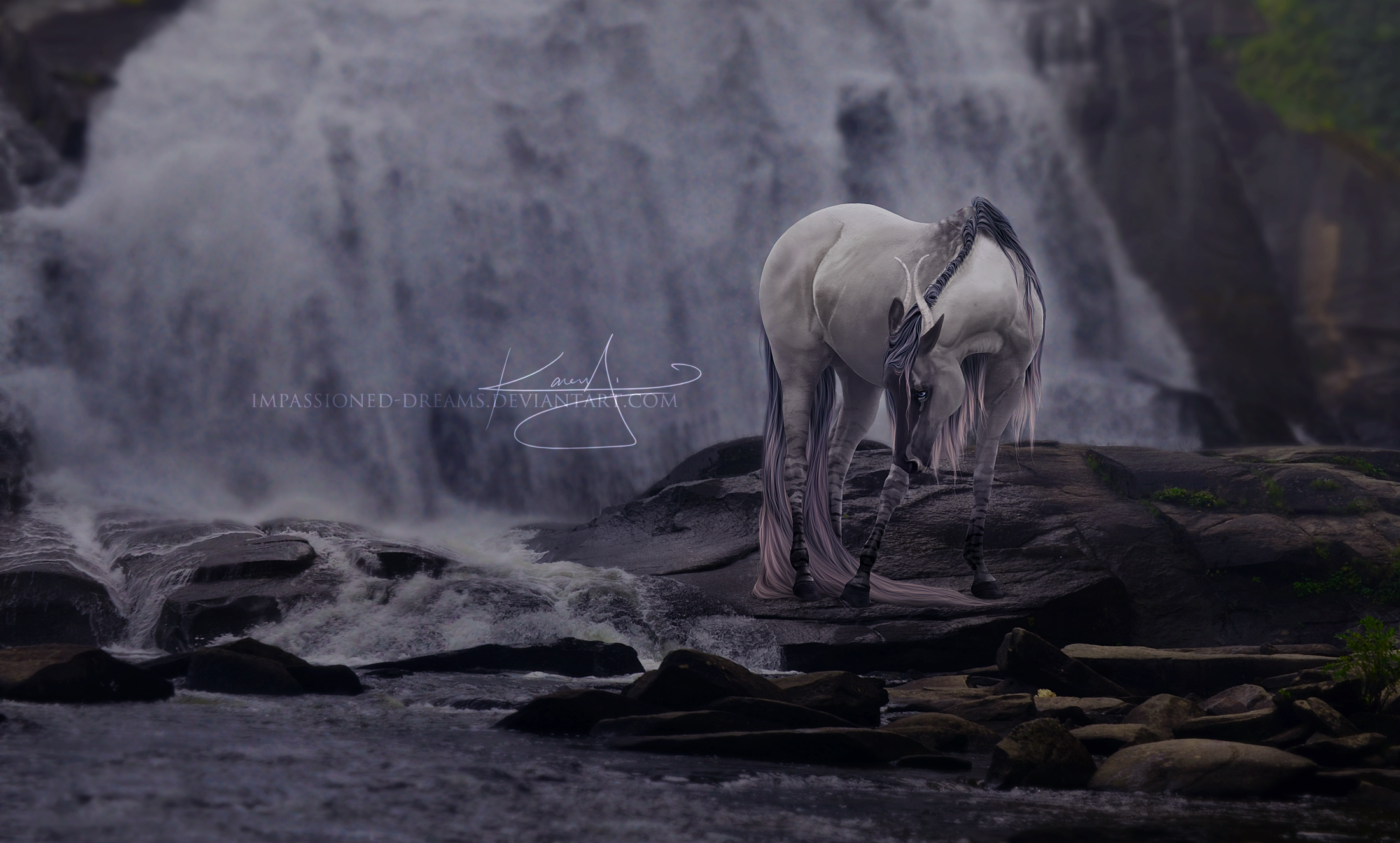 C: Wish the Night Away by impassioned-dreams