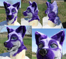 Purple Fox Head