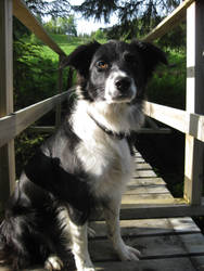 Sitting on a bridge