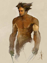 WOLVERINE PAINT