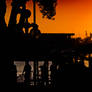 Marina Sunset