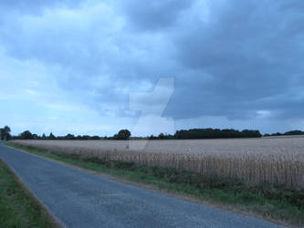 Blueish Landscape