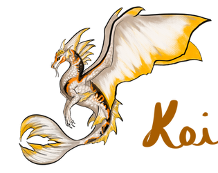 Koi dragon adopt