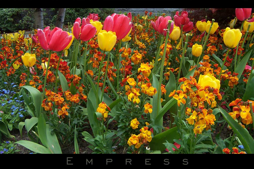 The Empress Gardens