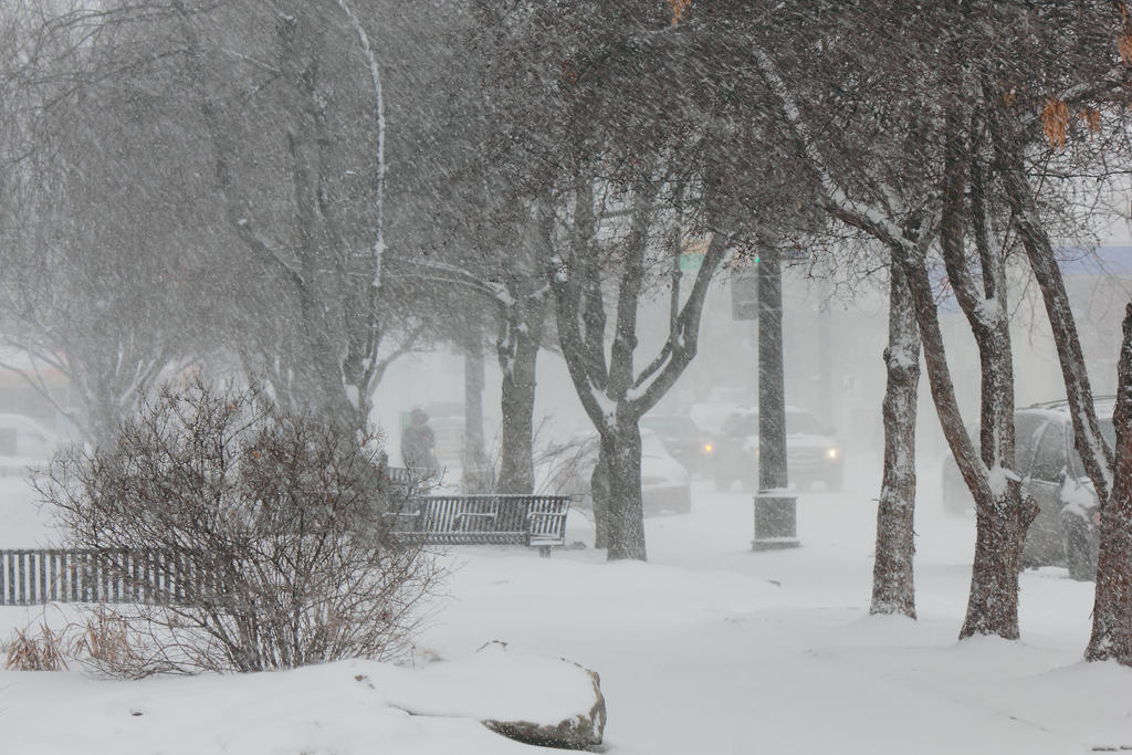 Blizzard in Calgary by lonnietaylor on DeviantArt