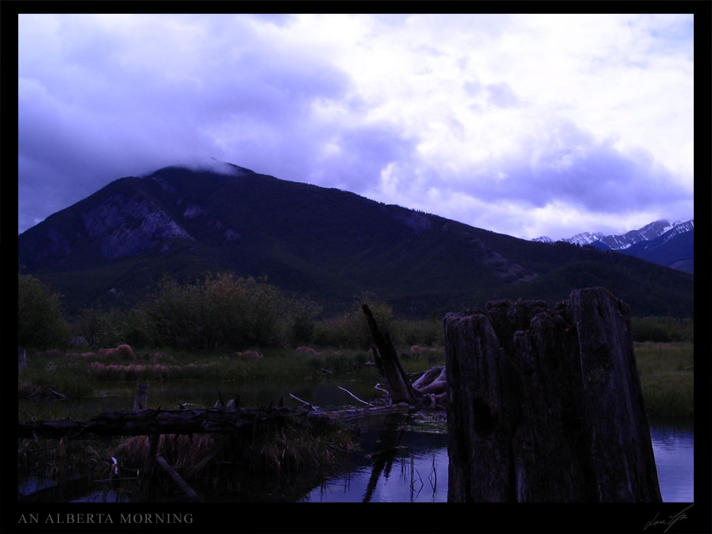 An Alberta Morning