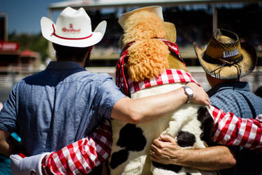 Friends At The Rodeo