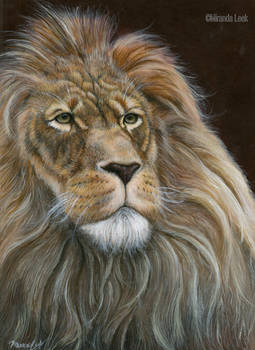 Lion (painting)