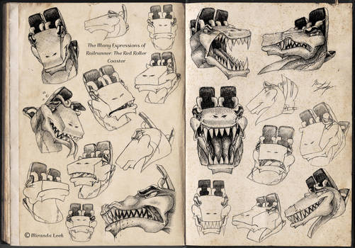 Expressions of a Roller Coaster